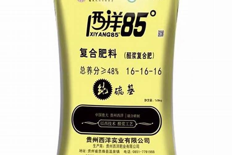 西洋实业有几个分公司