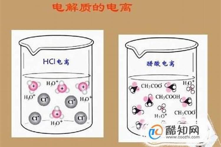 腐殖质的电化学性质