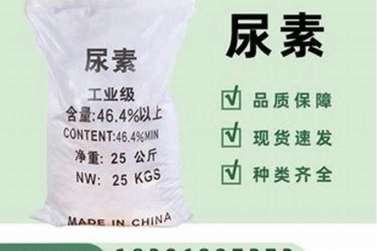 发财树如何施肥