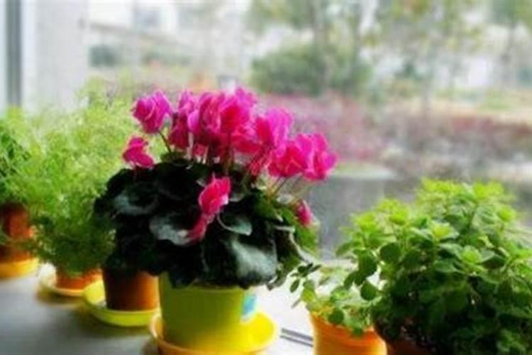 亚磷酸钾和安鲜脂能混用吗