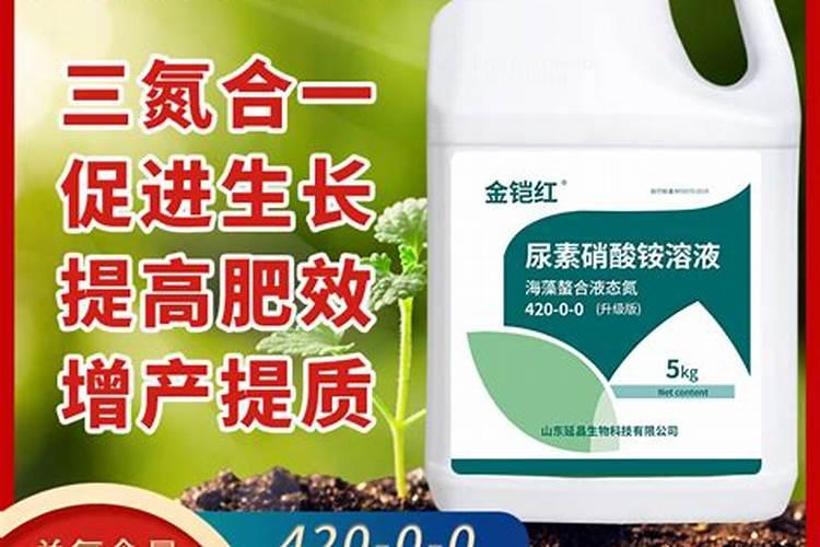 柿子尿素作为叶面肥一斤尿素配多少水？