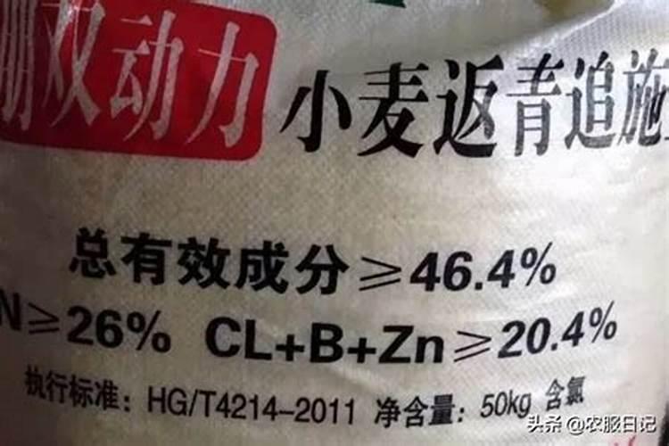 大豆受玉米药害怎么办