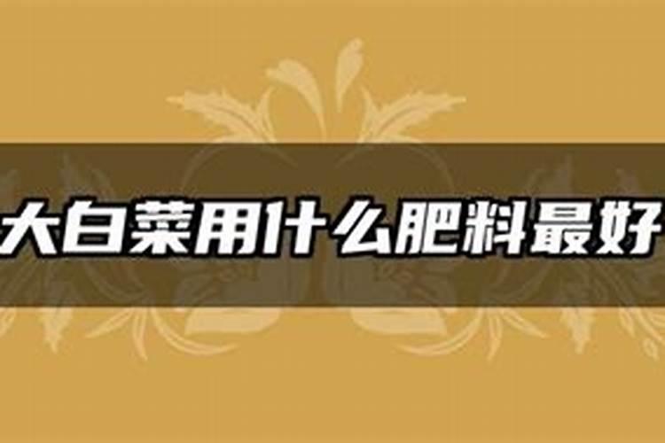 大白菜用什么肥料追肥(上几次肥最好,什么时候用肥)