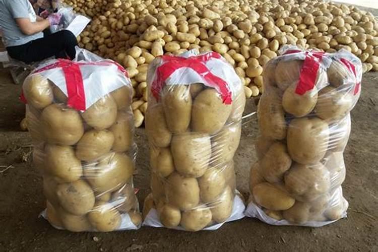 撒可富复合肥生产厂在浙江有生产厂吗