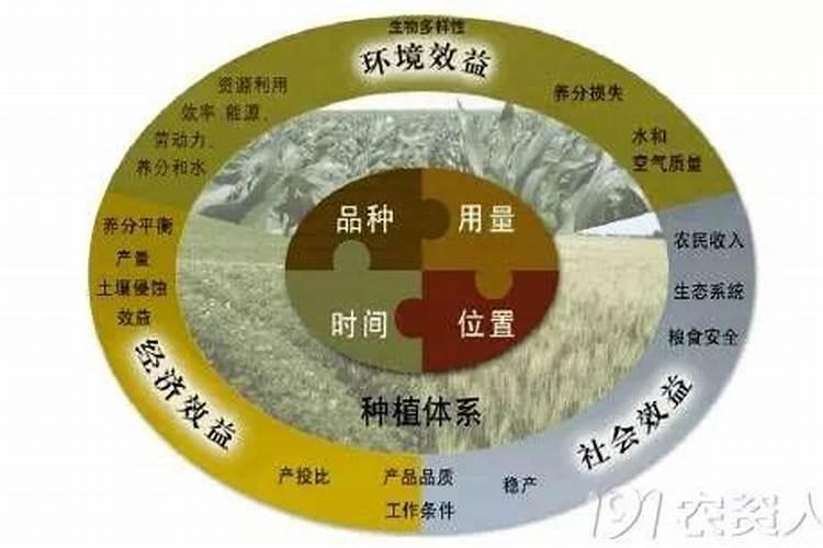 三十烷醇和芸苔素区别