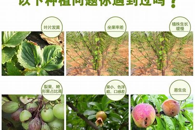 水溶肥什么牌子的最好最安全