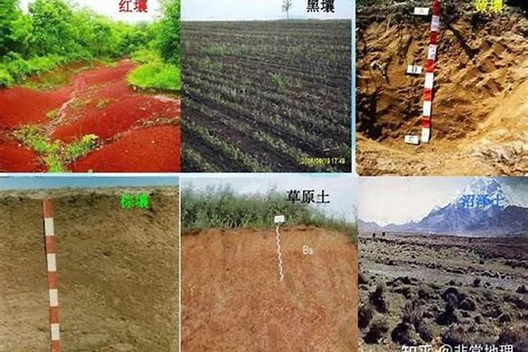 果树什么时期喷施叶面肥,上色增甜膨大用什么肥料好,叶面肥促花保果怎 ...