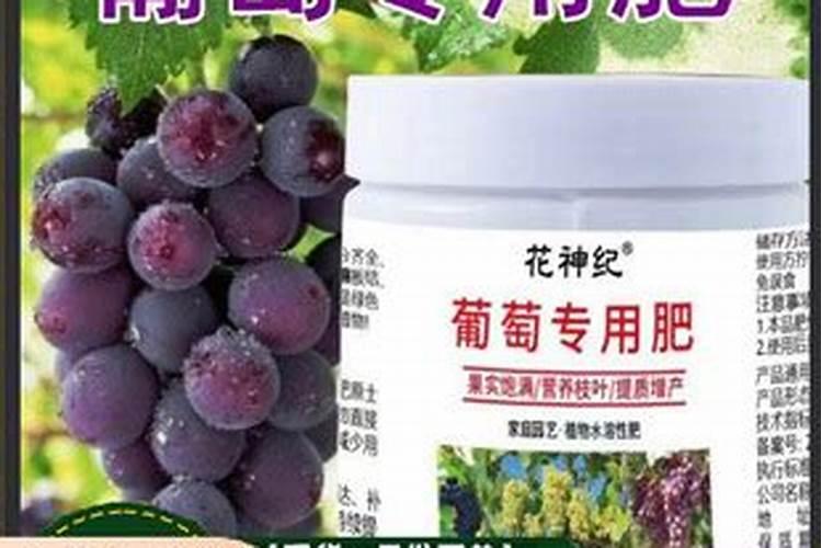 葡萄种植如何施肥？