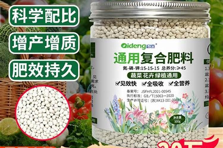 蕨类植物要怎样施肥？