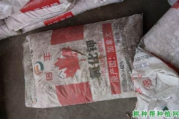 哪种钾肥最好(市面上常见都最好的钾肥是什么钾肥)