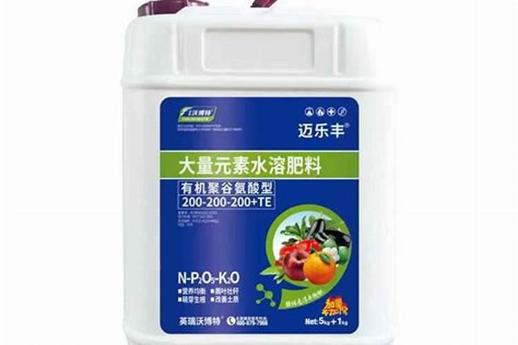 吊兰施什么肥料长得好