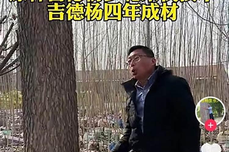 芸苔素内酯在樱桃上能和磷酸二氢钾流体硼糖醇钙混用吗？