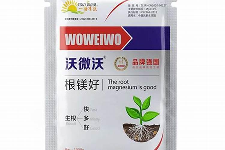 钾肥什么时候用