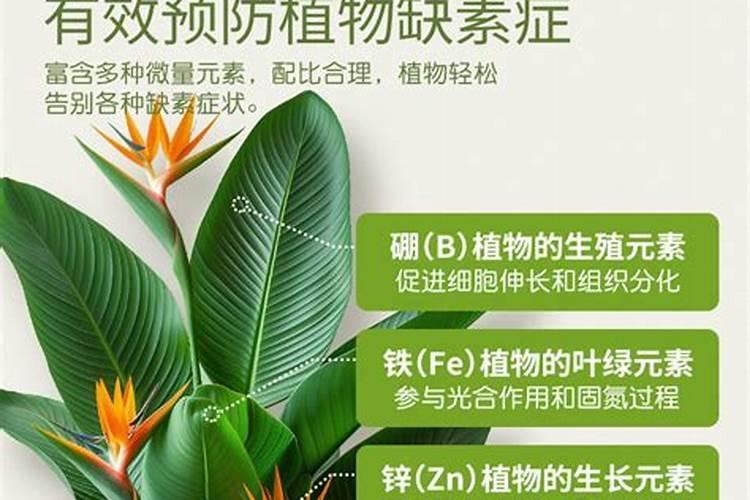 发霉的大米有没有做肥料的可能性呢