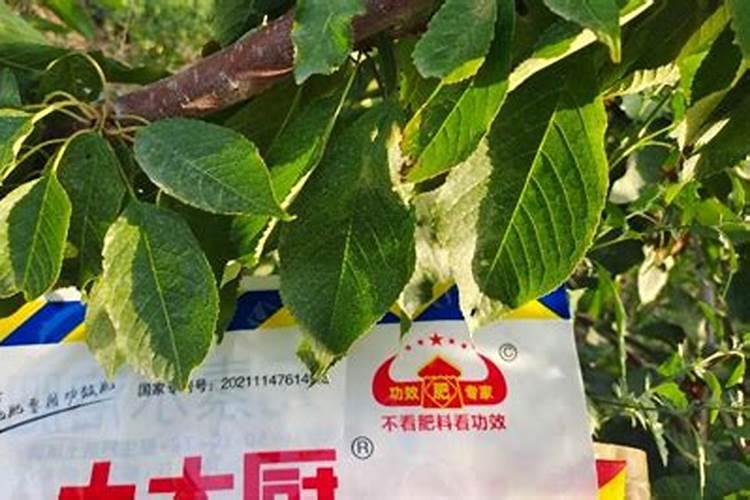 缺少氮磷钾肥分别有什么现象,氮磷钾肥怎么使用