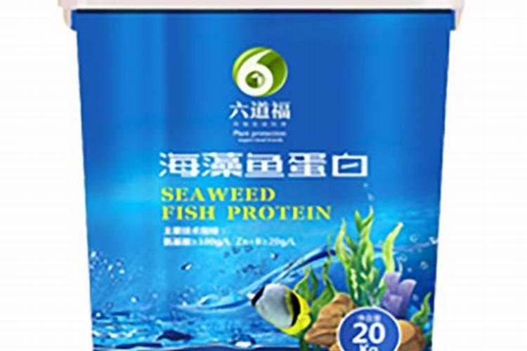 金枝玉叶用什么肥料最好