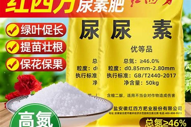 戈壁滩的命脉—坎儿井