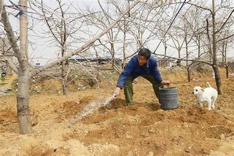 谁能给我提供一个浙江省各地的自来水公司的电话？
