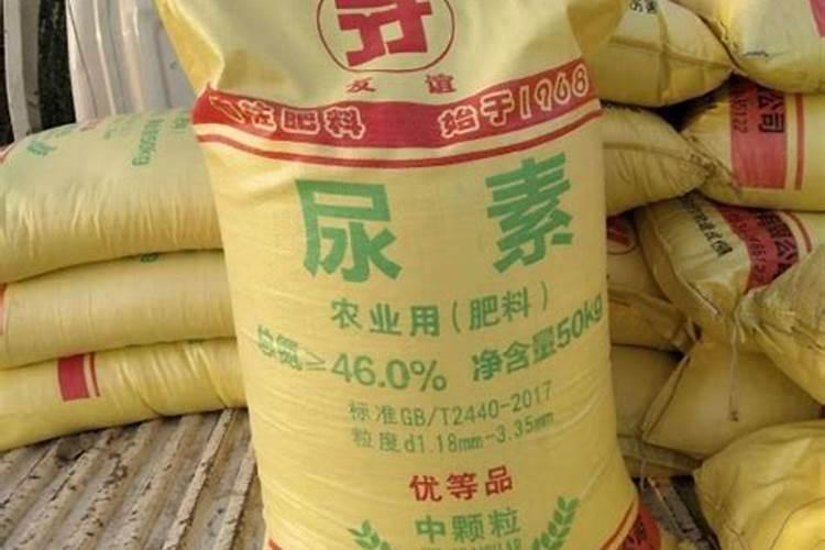 秋天地瓜叶可以种吗 秋天能不能种地瓜