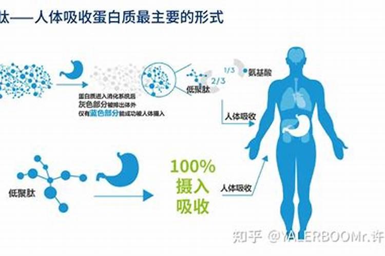什么是鱼蛋白肥料,鱼蛋白肥料作用及使用方法