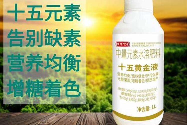 君子兰开花期间怎么施肥
