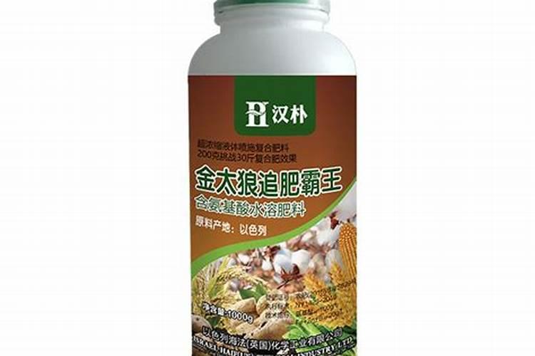 玉米如何使用叶面肥