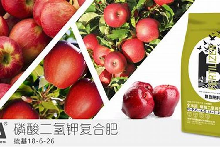 小麦打什么叶面肥高产