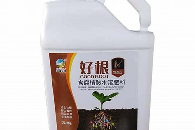 什么植物多施钾肥