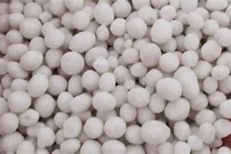 樟州杨梅农后期喷什么药果实变黑亮？