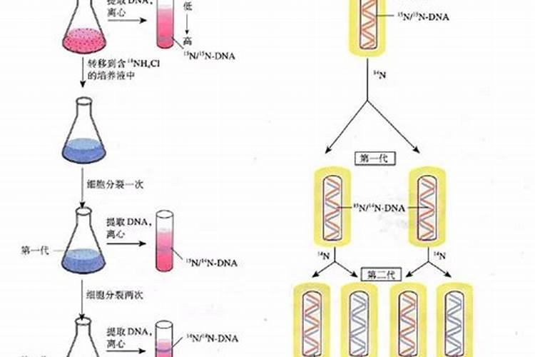 钾肥过量有什么危害科学施肥