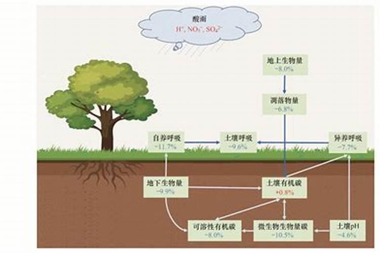 水稻一亩用多少复合肥