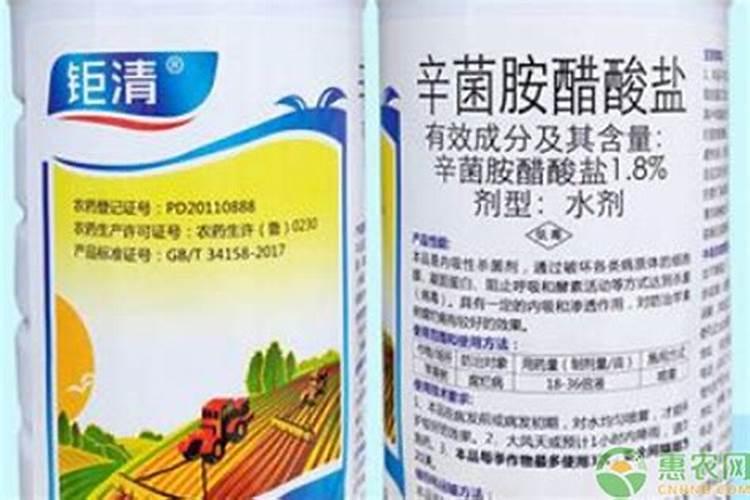 冬青树移栽后是否用浇水？