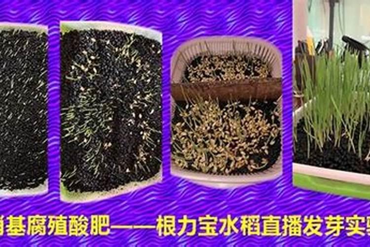 腐殖酸有什么作用