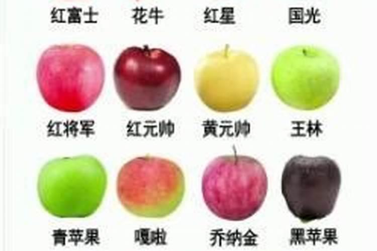 槟榔追肥方法时间 槟榔怎么施肥