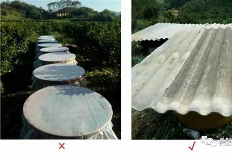花生麸肥料如何使用才能达到效果好