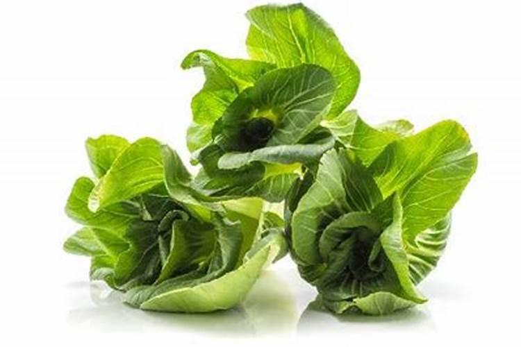 想问小麦用叶面肥好处哪些