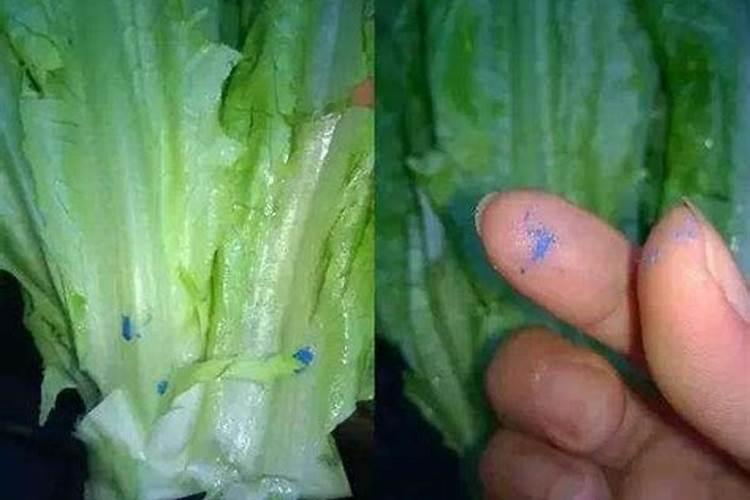 如何鉴别肥料真假？