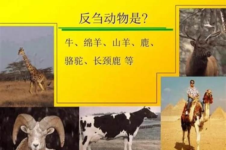 卤肉放山梨酸钾能保持几天
