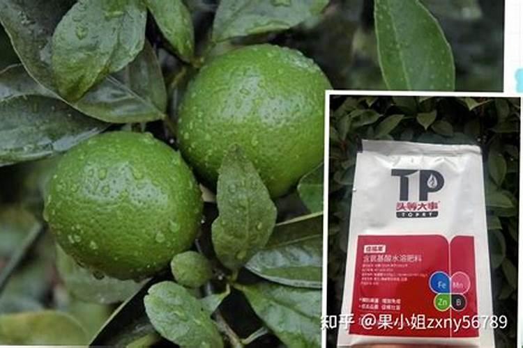 大蒜已抽苔打芸苔素能打吗？