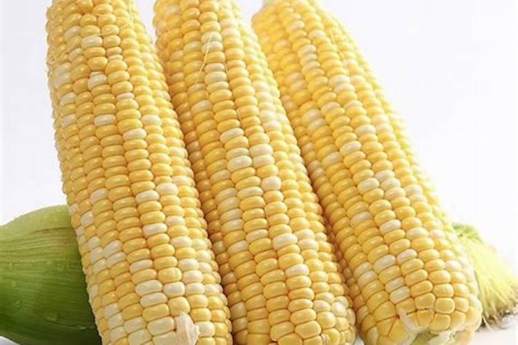 锌肥对玉米有什么好处啊