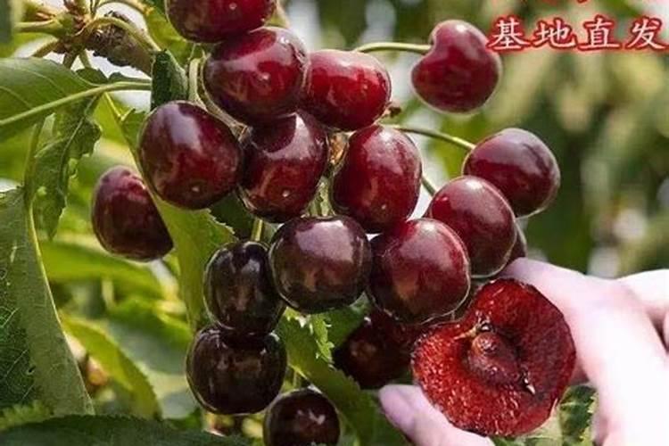 硫酸铝钾成分分析