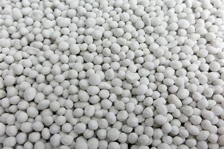 平地种植芸豆需要施什么肥料？