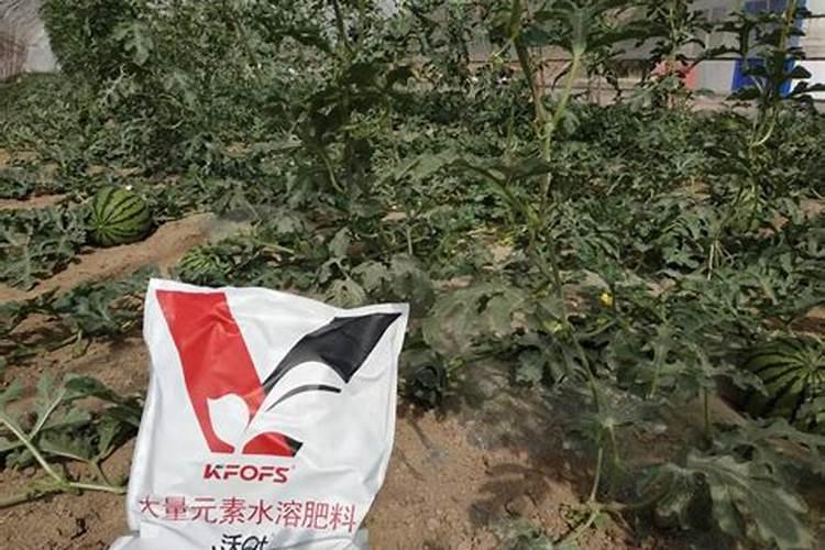 鉴别磷肥和钾肥的简易方法