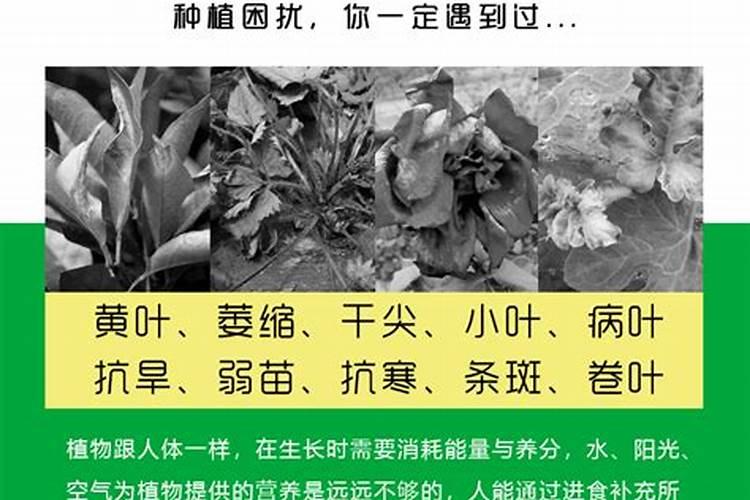 水溶肥稀释倍数是按什么计算