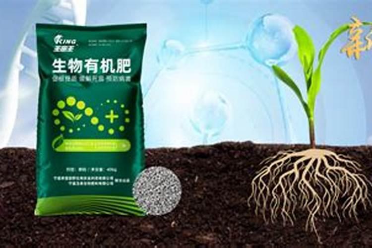 宁夏伊品生物科技股份有限公司怎么样？