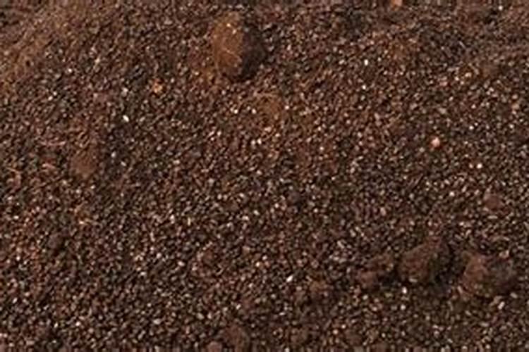 水溶肥啥时候用比较好