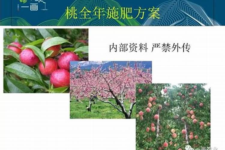 平衡肥是复合肥吗