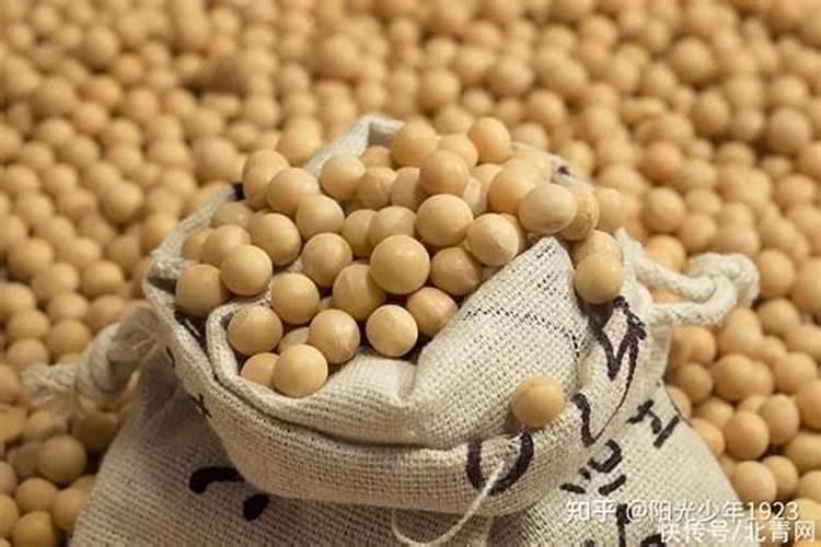 种豆用什么肥料最好