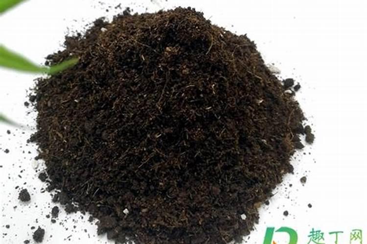 种菜用什么肥料最好