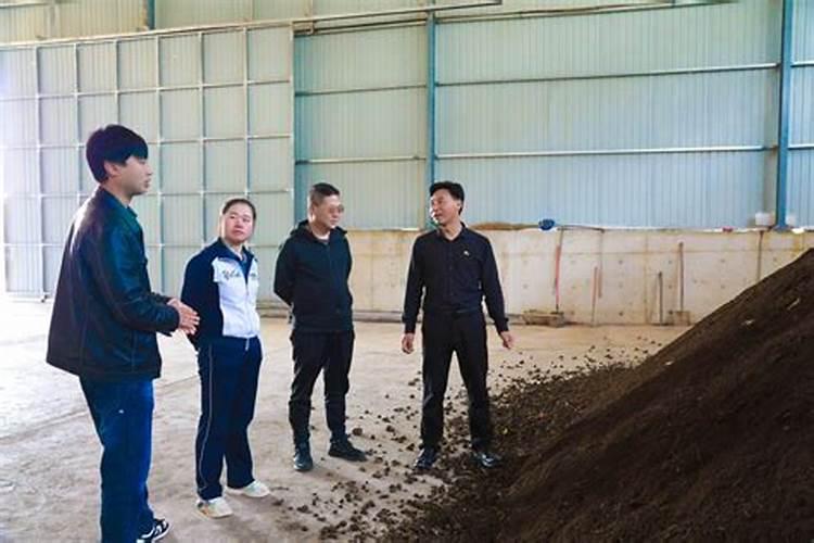 一文读懂肥料增效剂及氮肥增效!